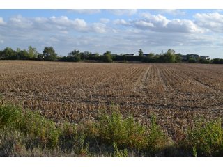 Property photo 27 - LAND AUCTION - 66+/- ACRES OFFERED IN 2 TRACTS IN BOONE AND DEKALB COUNTIES, ILLINOIS