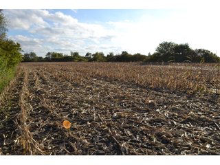 Property photo 30 - LAND AUCTION - 66+/- ACRES OFFERED IN 2 TRACTS IN BOONE AND DEKALB COUNTIES, ILLINOIS