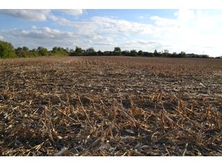 Property photo 31 - LAND AUCTION - 66+/- ACRES OFFERED IN 2 TRACTS IN BOONE AND DEKALB COUNTIES, ILLINOIS