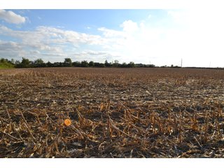 Property photo 32 - LAND AUCTION - 66+/- ACRES OFFERED IN 2 TRACTS IN BOONE AND DEKALB COUNTIES, ILLINOIS