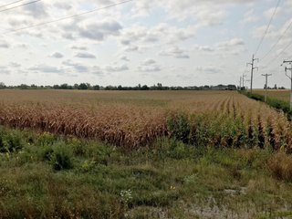 Property photo 34 - LAND AUCTION - 66+/- ACRES OFFERED IN 2 TRACTS IN BOONE AND DEKALB COUNTIES, ILLINOIS