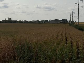 Property photo 35 - LAND AUCTION - 66+/- ACRES OFFERED IN 2 TRACTS IN BOONE AND DEKALB COUNTIES, ILLINOIS