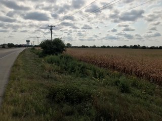 Property photo 36 - LAND AUCTION - 66+/- ACRES OFFERED IN 2 TRACTS IN BOONE AND DEKALB COUNTIES, ILLINOIS