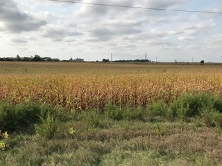 Property photo 44 - LAND AUCTION - 66+/- ACRES OFFERED IN 2 TRACTS IN BOONE AND DEKALB COUNTIES, ILLINOIS