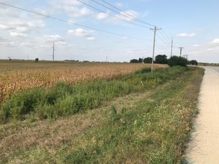 Property photo 45 - LAND AUCTION - 66+/- ACRES OFFERED IN 2 TRACTS IN BOONE AND DEKALB COUNTIES, ILLINOIS