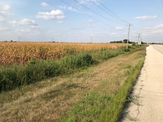 Property photo 46 - LAND AUCTION - 66+/- ACRES OFFERED IN 2 TRACTS IN BOONE AND DEKALB COUNTIES, ILLINOIS
