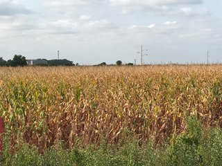 Property photo 47 - LAND AUCTION - 66+/- ACRES OFFERED IN 2 TRACTS IN BOONE AND DEKALB COUNTIES, ILLINOIS