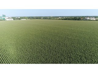 Property photo 4 - LAND AUCTION - 66+/- ACRES OFFERED IN 2 TRACTS IN BOONE AND DEKALB COUNTIES, ILLINOIS