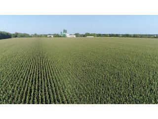 Property photo 5 - LAND AUCTION - 66+/- ACRES OFFERED IN 2 TRACTS IN BOONE AND DEKALB COUNTIES, ILLINOIS