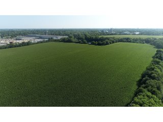 Property photo 7 - LAND AUCTION - 66+/- ACRES OFFERED IN 2 TRACTS IN BOONE AND DEKALB COUNTIES, ILLINOIS