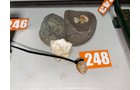 Property photo 36 - TIMED ONLINE ONLY AUCTION IN LAGRANGE COUNTY, INDIANA
