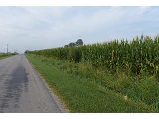 Property photo 76 - LAND AUCTION 736+/- ACRES OFFERED IN 14 TRACTS IN MONTGOMERY COUNTY, ILLINOIS