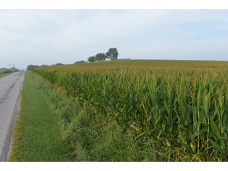 Property photo 78 - LAND AUCTION 736+/- ACRES OFFERED IN 14 TRACTS IN MONTGOMERY COUNTY, ILLINOIS