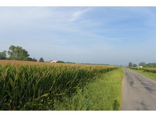 Property photo 83 - LAND AUCTION 736+/- ACRES OFFERED IN 14 TRACTS IN MONTGOMERY COUNTY, ILLINOIS