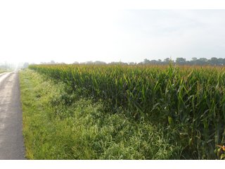 Property photo 84 - LAND AUCTION 736+/- ACRES OFFERED IN 14 TRACTS IN MONTGOMERY COUNTY, ILLINOIS
