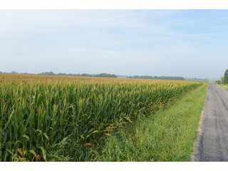 Property photo 85 - LAND AUCTION 736+/- ACRES OFFERED IN 14 TRACTS IN MONTGOMERY COUNTY, ILLINOIS