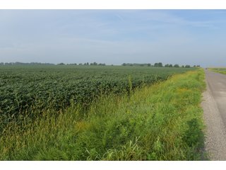 Property photo 88 - LAND AUCTION 736+/- ACRES OFFERED IN 14 TRACTS IN MONTGOMERY COUNTY, ILLINOIS