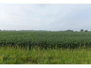 Property photo 94 - LAND AUCTION 736+/- ACRES OFFERED IN 14 TRACTS IN MONTGOMERY COUNTY, ILLINOIS