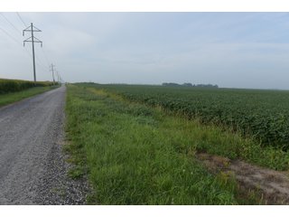 Property photo 96 - LAND AUCTION 736+/- ACRES OFFERED IN 14 TRACTS IN MONTGOMERY COUNTY, ILLINOIS