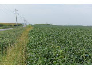 Property photo 104 - LAND AUCTION 736+/- ACRES OFFERED IN 14 TRACTS IN MONTGOMERY COUNTY, ILLINOIS