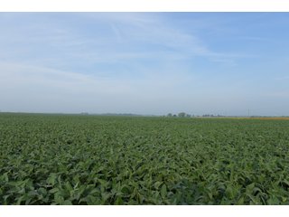 Property photo 107 - LAND AUCTION 736+/- ACRES OFFERED IN 14 TRACTS IN MONTGOMERY COUNTY, ILLINOIS