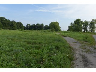 Property photo 110 - LAND AUCTION 736+/- ACRES OFFERED IN 14 TRACTS IN MONTGOMERY COUNTY, ILLINOIS