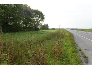 Property photo 111 - LAND AUCTION 736+/- ACRES OFFERED IN 14 TRACTS IN MONTGOMERY COUNTY, ILLINOIS