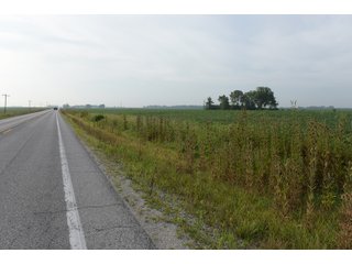 Property photo 112 - LAND AUCTION 736+/- ACRES OFFERED IN 14 TRACTS IN MONTGOMERY COUNTY, ILLINOIS