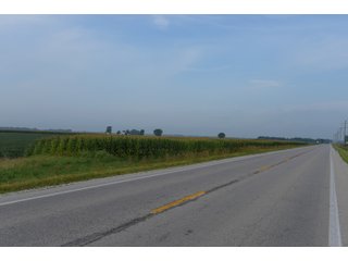 Property photo 115 - LAND AUCTION 736+/- ACRES OFFERED IN 14 TRACTS IN MONTGOMERY COUNTY, ILLINOIS