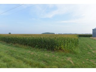 Property photo 116 - LAND AUCTION 736+/- ACRES OFFERED IN 14 TRACTS IN MONTGOMERY COUNTY, ILLINOIS