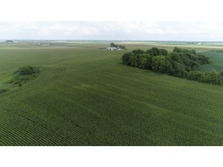 Property photo 13 - LAND AUCTION 736+/- ACRES OFFERED IN 14 TRACTS IN MONTGOMERY COUNTY, ILLINOIS