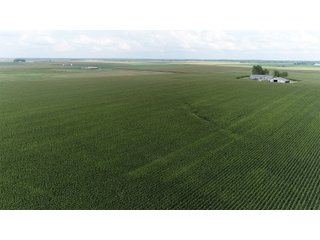 Property photo 14 - LAND AUCTION 736+/- ACRES OFFERED IN 14 TRACTS IN MONTGOMERY COUNTY, ILLINOIS