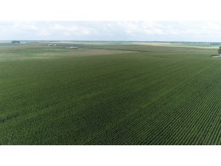 Property photo 15 - LAND AUCTION 736+/- ACRES OFFERED IN 14 TRACTS IN MONTGOMERY COUNTY, ILLINOIS