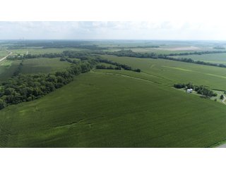 Property photo 18 - LAND AUCTION 736+/- ACRES OFFERED IN 14 TRACTS IN MONTGOMERY COUNTY, ILLINOIS