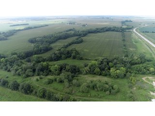 Property photo 19 - LAND AUCTION 736+/- ACRES OFFERED IN 14 TRACTS IN MONTGOMERY COUNTY, ILLINOIS