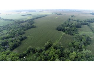 Property photo 20 - LAND AUCTION 736+/- ACRES OFFERED IN 14 TRACTS IN MONTGOMERY COUNTY, ILLINOIS
