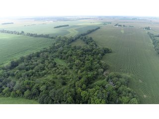 Property photo 21 - LAND AUCTION 736+/- ACRES OFFERED IN 14 TRACTS IN MONTGOMERY COUNTY, ILLINOIS
