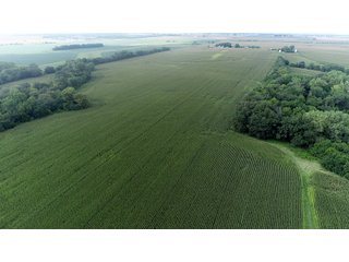 Property photo 22 - LAND AUCTION 736+/- ACRES OFFERED IN 14 TRACTS IN MONTGOMERY COUNTY, ILLINOIS