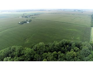 Property photo 23 - LAND AUCTION 736+/- ACRES OFFERED IN 14 TRACTS IN MONTGOMERY COUNTY, ILLINOIS