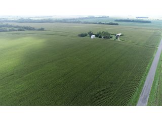 Property photo 24 - LAND AUCTION 736+/- ACRES OFFERED IN 14 TRACTS IN MONTGOMERY COUNTY, ILLINOIS