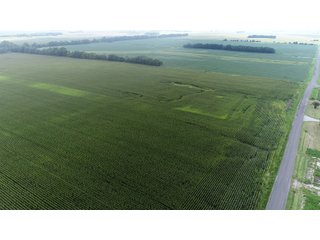 Property photo 25 - LAND AUCTION 736+/- ACRES OFFERED IN 14 TRACTS IN MONTGOMERY COUNTY, ILLINOIS