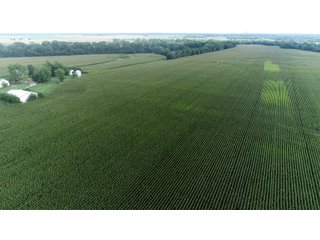 Property photo 27 - LAND AUCTION 736+/- ACRES OFFERED IN 14 TRACTS IN MONTGOMERY COUNTY, ILLINOIS
