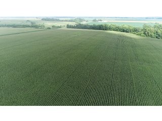Property photo 29 - LAND AUCTION 736+/- ACRES OFFERED IN 14 TRACTS IN MONTGOMERY COUNTY, ILLINOIS