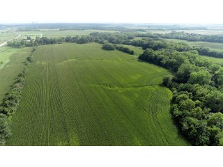Property photo 30 - LAND AUCTION 736+/- ACRES OFFERED IN 14 TRACTS IN MONTGOMERY COUNTY, ILLINOIS