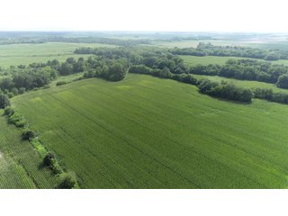 Property photo 31 - LAND AUCTION 736+/- ACRES OFFERED IN 14 TRACTS IN MONTGOMERY COUNTY, ILLINOIS