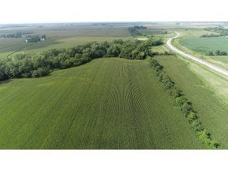 Property photo 32 - LAND AUCTION 736+/- ACRES OFFERED IN 14 TRACTS IN MONTGOMERY COUNTY, ILLINOIS