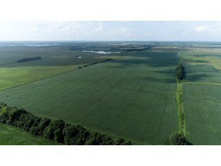 Property photo 33 - LAND AUCTION 736+/- ACRES OFFERED IN 14 TRACTS IN MONTGOMERY COUNTY, ILLINOIS