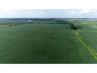Property photo 34 - LAND AUCTION 736+/- ACRES OFFERED IN 14 TRACTS IN MONTGOMERY COUNTY, ILLINOIS