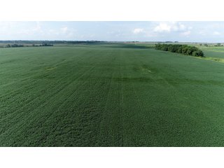 Property photo 35 - LAND AUCTION 736+/- ACRES OFFERED IN 14 TRACTS IN MONTGOMERY COUNTY, ILLINOIS