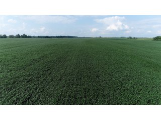 Property photo 36 - LAND AUCTION 736+/- ACRES OFFERED IN 14 TRACTS IN MONTGOMERY COUNTY, ILLINOIS